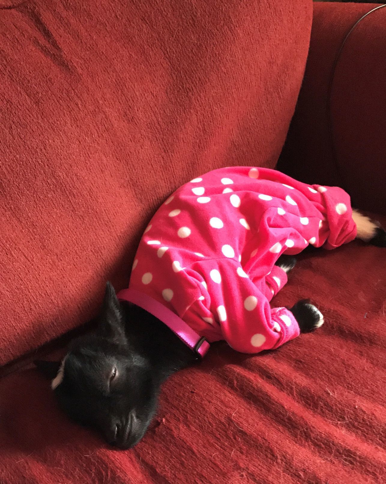 Delilah in her PJs!